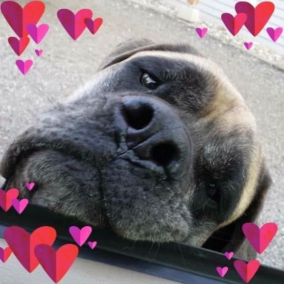 Meet your Posher, Beth-johnny - Picture 1 of 1